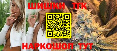 Альфа ПВП Можга